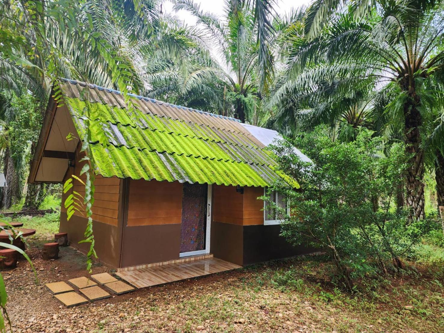 考索银崖度假酒店 Khao Sok National Park 客房 照片