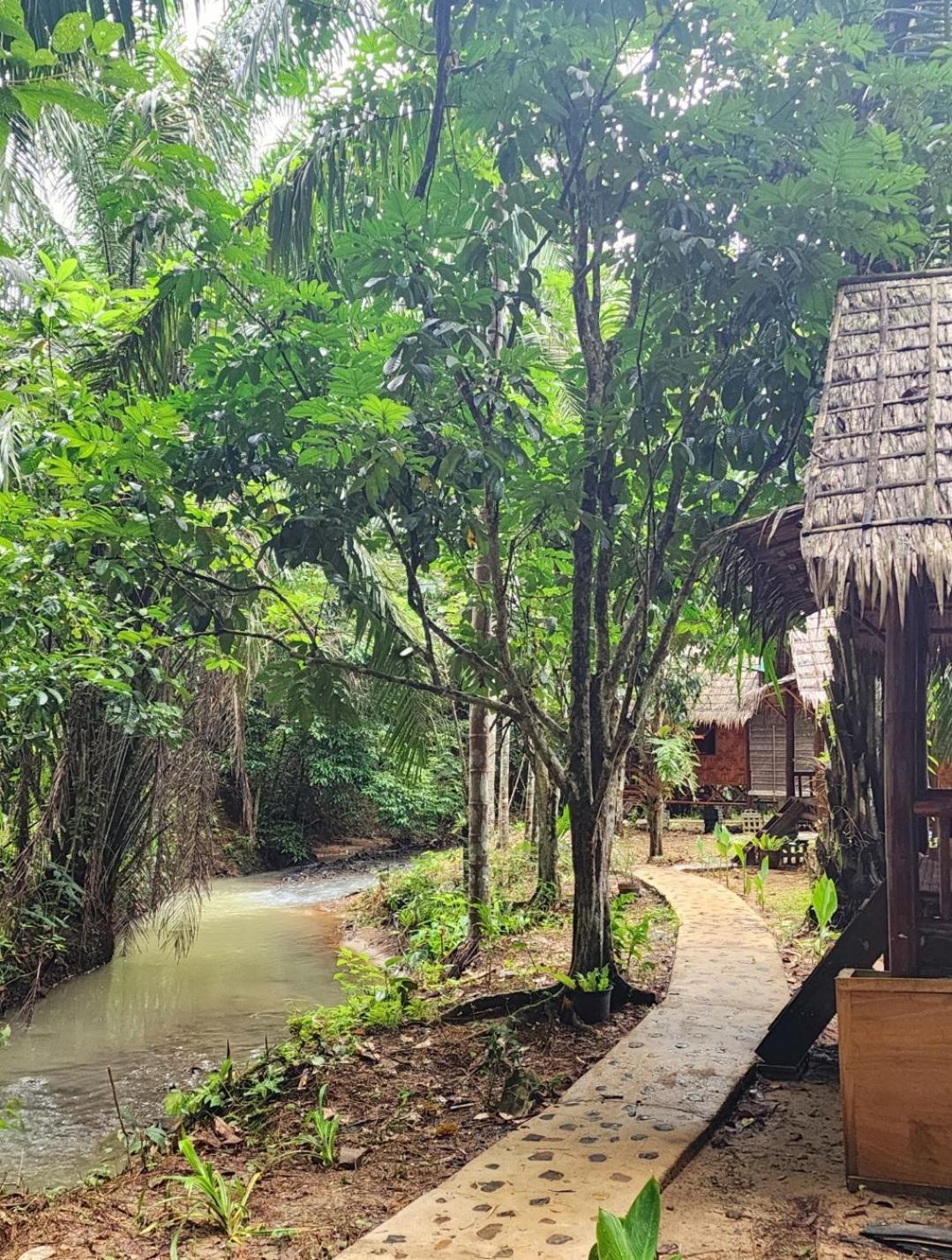 考索银崖度假酒店 Khao Sok National Park 客房 照片