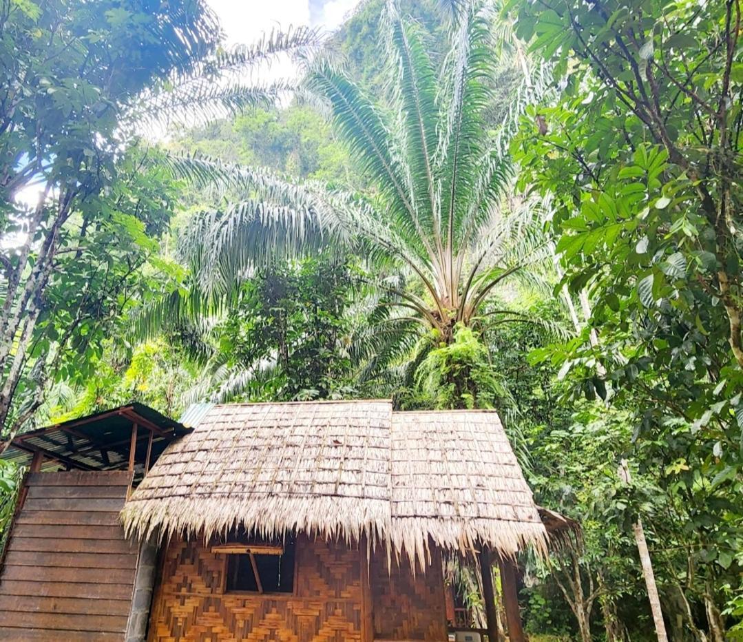 考索银崖度假酒店 Khao Sok National Park 客房 照片