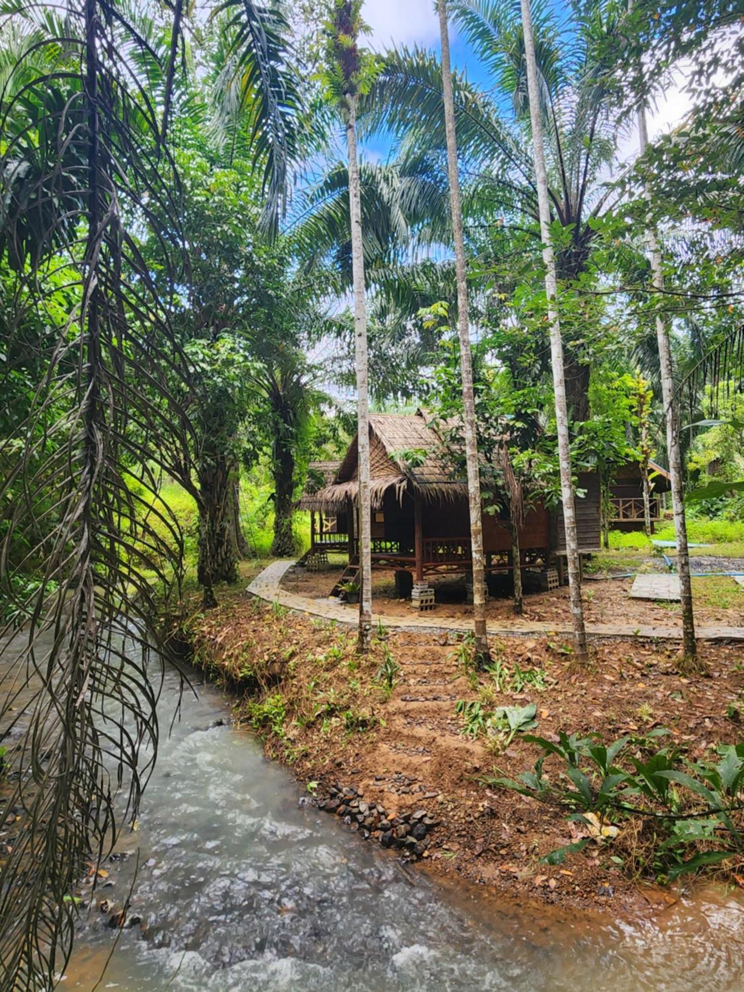 考索银崖度假酒店 Khao Sok National Park 客房 照片