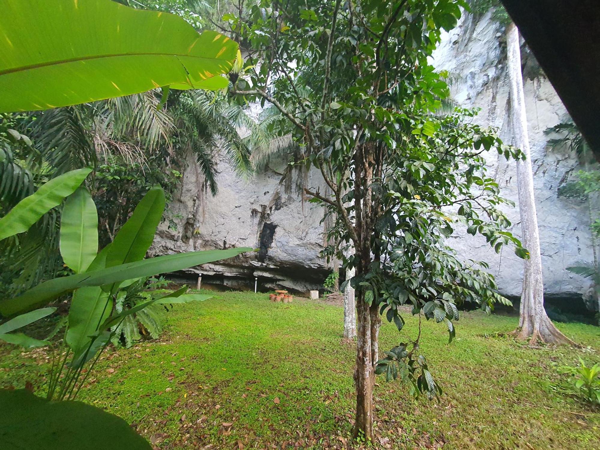 考索银崖度假酒店 Khao Sok National Park 客房 照片