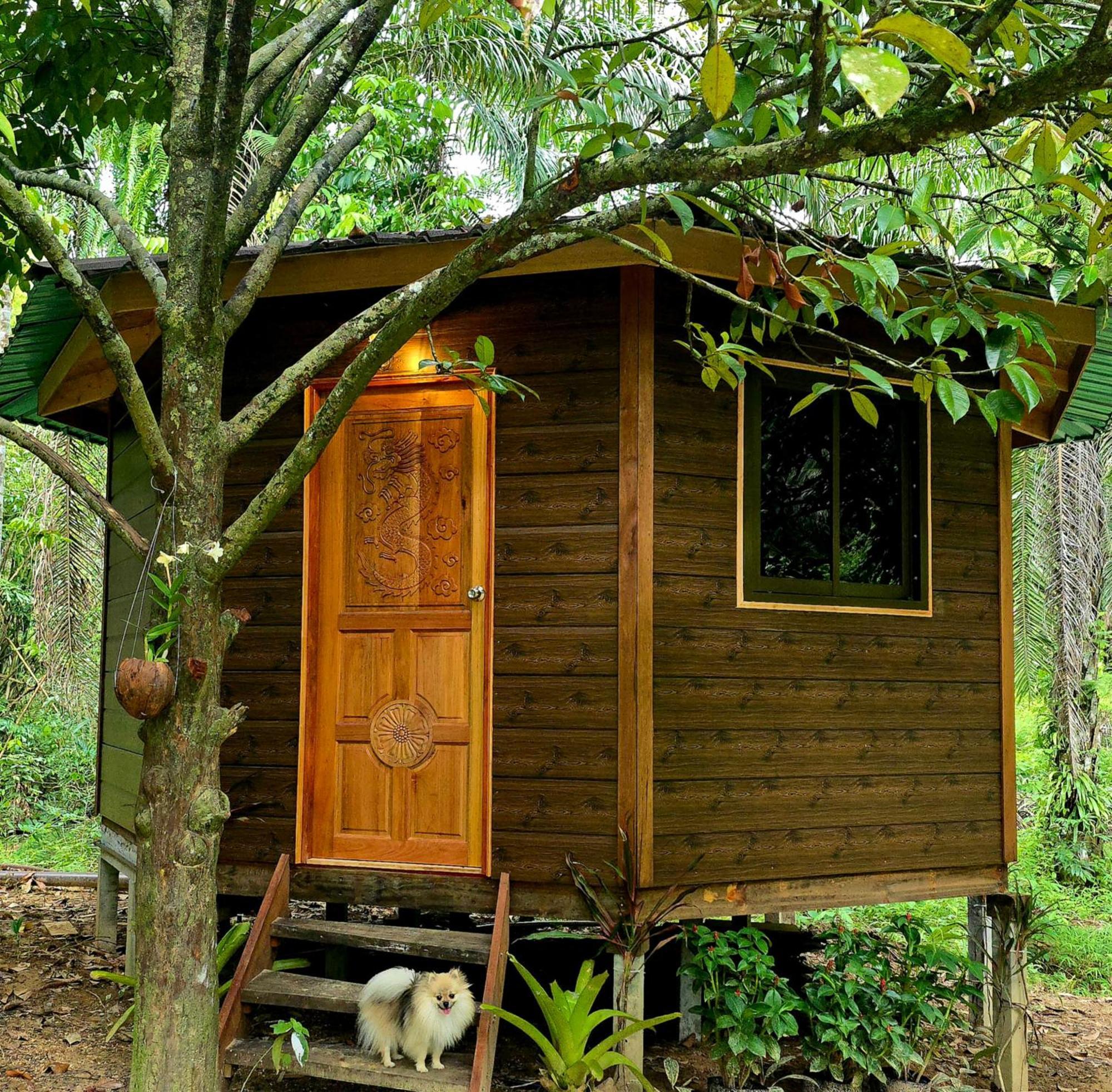 考索银崖度假酒店 Khao Sok National Park 客房 照片